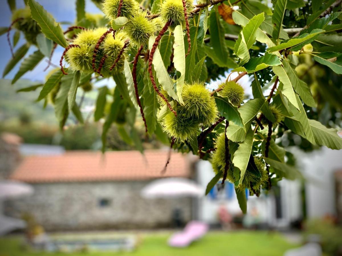 Casa Do Acor - Villaverde Azores Feteiras المظهر الخارجي الصورة