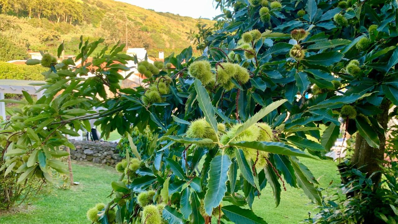 Casa Do Acor - Villaverde Azores Feteiras المظهر الخارجي الصورة